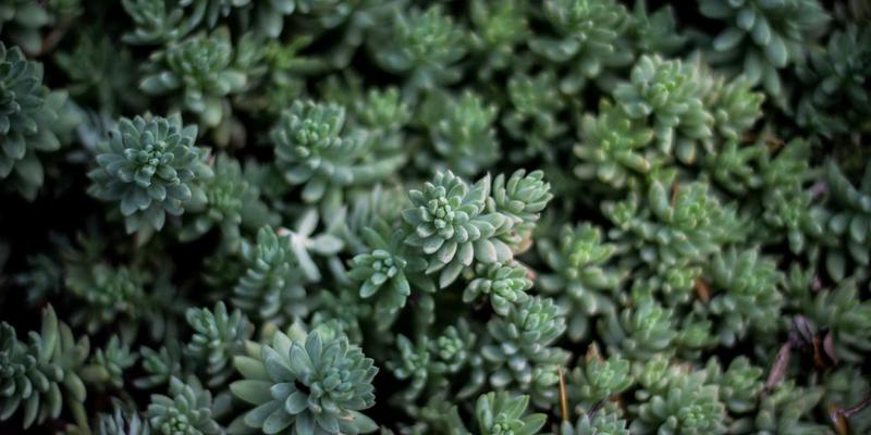 从编程教程到软件开发：网络技术发展下的学习路径与资源整合