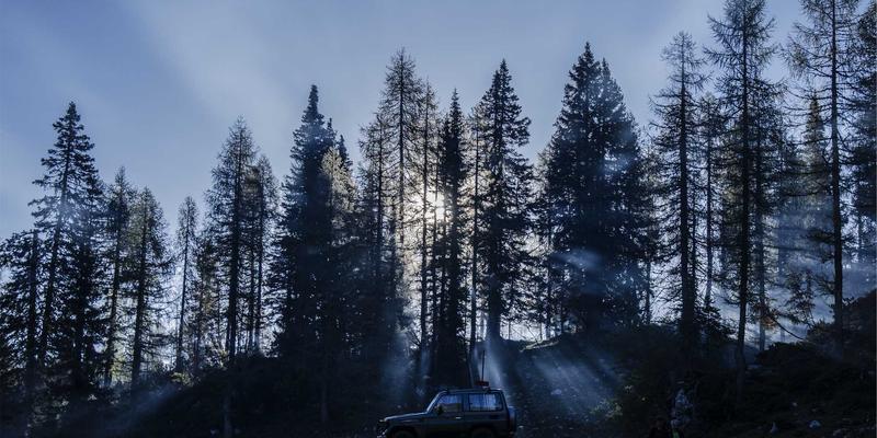 技术博客进阶指南：软件开发与资源分享的高效实践