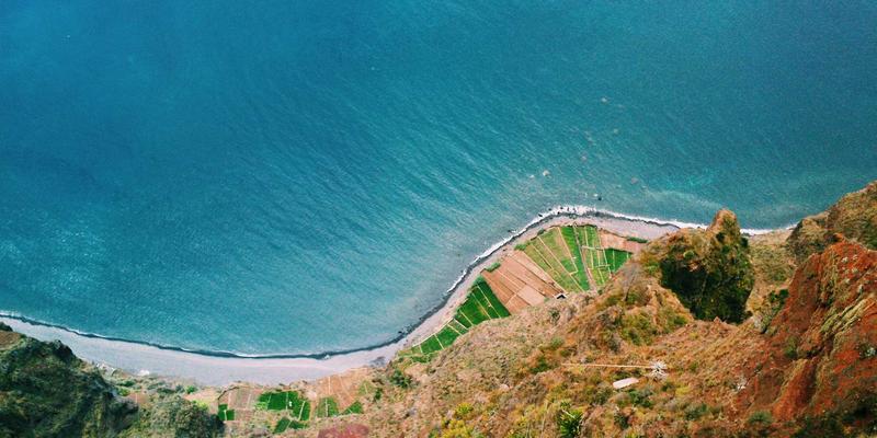 网络技术21:技术博客、编程教程与资源分享的深度融合