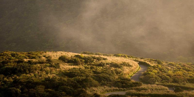 网络技术30:资源分享、技术博客与免费工具全指南