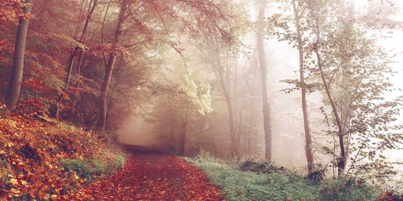 网络技术76:构建技术博客,分享网络技术与资源的完整指南