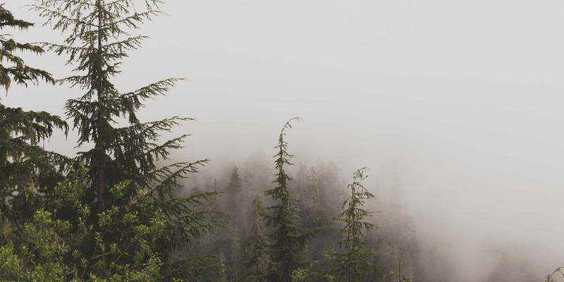 网络技术79:资源分享、软件开发与技术博客的协同进化