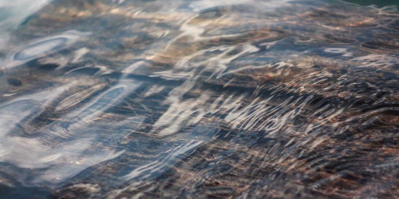 网络技术资源全攻略：精选免费工具与高效分享指南